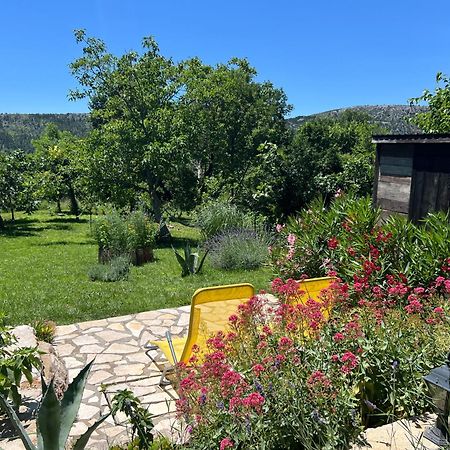 Villa Cocoon - Vacation Home With Heated Pool & Garden Bribir  Kültér fotó